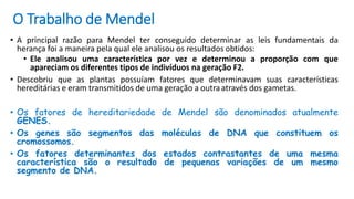 O Trabalho de Mendel
• A principal razão para Mendel ter conseguido determinar as leis fundamentais da
herança foi a maneira pela qual ele analisou os resultados obtidos:
• Ele analisou uma característica por vez e determinou a proporção com que
apareciam os diferentes tipos de indivíduos na geração F2.
• Descobriu que as plantas possuíam fatores que determinavam suas características
hereditárias e eram transmitidos de uma geração a outraatravés dos gametas.
• Os fatores de hereditariedade de Mendel são denominados atualmente
GENES.
• Os genes são segmentos das moléculas de DNA que constituem os
cromossomos.
• Os fatores determinantes dos estados contrastantes de uma mesma
característica são o resultado de pequenas variações de um mesmo
segmento de DNA.
 