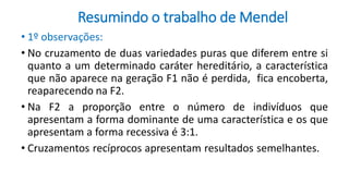 Resumindo o trabalho de Mendel
• 1º observações:
• No cruzamento de duas variedades puras que diferem entre si
quanto a um determinado caráter hereditário, a característica
que não aparece na geração F1 não é perdida, fica encoberta,
reaparecendo na F2.
• Na F2 a proporção entre o número de indivíduos que
apresentam a forma dominante de uma característica e os que
apresentam a forma recessiva é 3:1.
• Cruzamentos recíprocos apresentam resultados semelhantes.
 