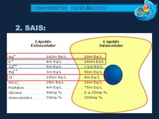 COMPONENTES INORGÂNICOS:
2. SAIS:
 