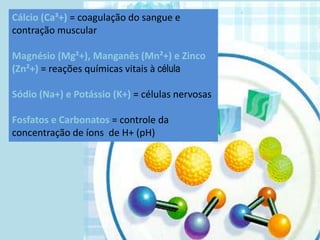 Cálcio (Ca³+) = coagulação do sangue e
contração muscular
Magnésio (Mg²+), Manganês (Mn²+) e Zinco
(Zn²+) = reações químicas vitais à célula
Sódio (Na+) e Potássio (K+) = células nervosas
Fosfatos e Carbonatos = controle da
concentração de íons de H+ (pH)
 