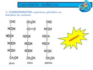 1. CARBOIDRATOS: açúcares, glicídios ou
hidratos de carbono
COMPONENTES ORGÂNICOS:
 