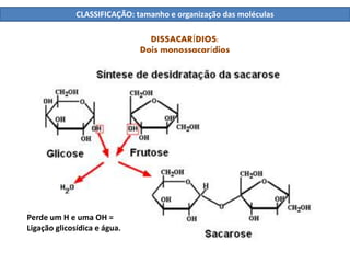 DISSACARÍDIOS:
Dois monossacarídios
Perde um H e uma OH =
Ligação glicosídica e água.
CLASSIFICAÇÃO: tamanho e organização das moléculas
 