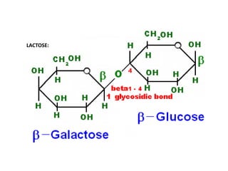 LACTOSE:
 