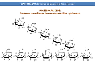 POLISSACARÍDIOS:
Centenas ou milhares de monossacarídios - polímeros
CLASSIFICAÇÃO: tamanho e organização das moléculas
 