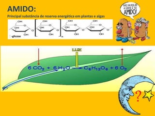 AMIDO:
Principal substância de reserva energética em plantas e algas
-glicose
?
 