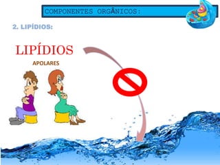 COMPONENTES ORGÂNICOS:
2. LIPÍDIOS:
LIPÍDIOS
APOLARES
 