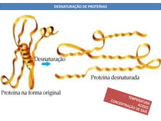 DESNATURAÇÃO DE PROTEÍNAS
 