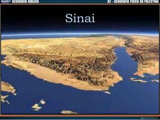 Sinai
 