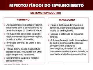 Here comes your footer  Page 14
ASPECTOS FÍSICOS DO ENVELHECIMENTO
FEMININO
 Adelgaçamento da parede vaginal,
juntamente com o estreitamento no
tamanho e a perda da elasticidade;
 Redução das secreções vaginais
resultam em ressecamento vaginal,
prurido e acidez diminuída;
 Involução (atrofia) do útero e dos
ovários;
 Tônus diminuído da musculatura
pupococcígea, resultando em uma
vagina e períneo relaxados;
 Sangramento vaginal e relação
sexual dolorosa.
SISTEMA REPRODUTOR
MASCULINO
 Pênis e testículos diminuem de
tamanho, ocorrendo redução nos
níveis de androgênios;
 Ereção e obtenção de orgasmo
tardias;
 A disfunção erétil pode desenvolver-
se com a doença cardiovascular
concomitante, distúrbios
neurológicos, diabetes ou, até
mesmo com a doença respiratória, o
que limita a tolerância ao exercício.
 