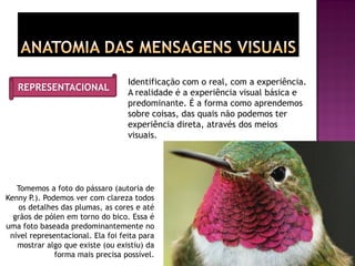 Identificação com o real, com a experiência.
A realidade é a experiência visual básica e
predominante. É a forma como aprendemos
sobre coisas, das quais não podemos ter
experiência direta, através dos meios
visuais.
REPRESENTACIONAL
Tomemos a foto do pássaro (autoria de
Kenny P.). Podemos ver com clareza todos
os detalhes das plumas, as cores e até
grãos de pólen em torno do bico. Essa é
uma foto baseada predominantemente no
nível representacional. Ela foi feita para
mostrar algo que existe (ou existiu) da
forma mais precisa possível.
 