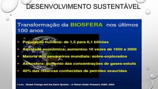 DESENVOLVIMENTO SUSTENTÁVEL
 