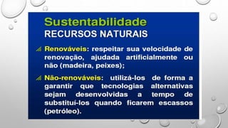 Aula 2 - Educação Ambiental.pptx