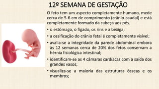 Comprehensive Maternal and Infant Health: Menstrual Cycle and Pregnancy ...