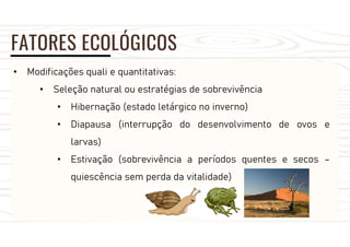 FATORES ECOLÓGICOS
• Modificações quali e quantitativas:
• Seleção natural ou estratégias de sobrevivência
• Hibernação (estado letárgico no inverno)
• Diapausa (interrupção do desenvolvimento de ovos e
larvas)
• Estivação (sobrevivência a períodos quentes e secos –
quiescência sem perda da vitalidade)
 