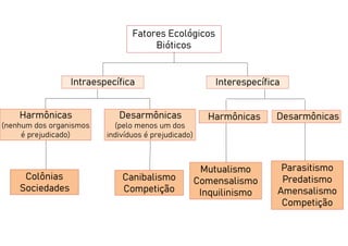Fatores Ecológicos
Bióticos
Intraespecífica Interespecífica
Harmônicas
(nenhum dos organismos
é prejudicado)
Harmônicas Desarmônicas
Desarmônicas
(pelo menos um dos
indivíduos é prejudicado)
Colônias
Sociedades
Canibalismo
Competição
Mutualismo
Comensalismo
Inquilinismo
Parasitismo
Predatismo
Amensalismo
Competição
 