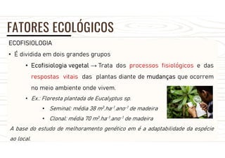 FATORES ECOLÓGICOS
ECOFISIOLOGIA
• É dividida em dois grandes grupos
• Ecofisiologia vegetal → Trata dos processos fisiológicos e das
respostas vitais das plantas diante de mudanças que ocorrem
no meio ambiente onde vivem.
• Ex.: Floresta plantada de Eucalyptus sp.
• Seminal: média 38 m3.ha-1.ano-1 de madeira
• Clonal: média 70 m3.ha-1.ano-1 de madeira
A base do estudo de melhoramento genético em é a adaptabilidade da espécie
ao local.
 