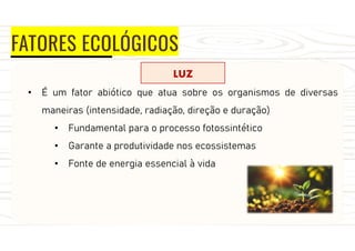 FATORES ECOLÓGICOS
LUZ
• É um fator abiótico que atua sobre os organismos de diversas
maneiras (intensidade, radiação, direção e duração)
• Fundamental para o processo fotossintético
• Garante a produtividade nos ecossistemas
• Fonte de energia essencial à vida
 