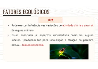 FATORES ECOLÓGICOS
LUZ
• Pode exercer Influência nas variações de atividade diária e sazonal
de alguns animais
• Estar associada a aspectos reprodutivos, como em alguns
insetos produzem luz para localização e atração do parceiro
sexual - bioluminescência.
 