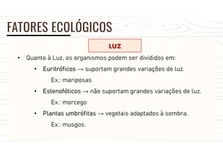 FATORES ECOLÓGICOS
LUZ
• Quanto à Luz, os organismos podem ser divididos em:
• Euritróficos → suportam grandes variações de luz.
Ex.: mariposas
• Estenofóticos → não suportam grandes variações de luz.
Ex.: morcego
• Plantas umbrófitas → vegetais adaptados à sombra.
Ex.: musgos.
 