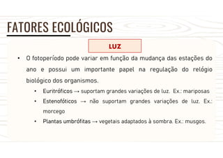 FATORES ECOLÓGICOS
LUZ
• O fotoperíodo pode variar em função da mudança das estações do
ano e possui um importante papel na regulação do relógio
biológico dos organismos.
• Euritróficos → suportam grandes variações de luz. Ex.: mariposas
• Estenofóticos → não suportam grandes variações de luz. Ex.:
morcego
• Plantas umbrófitas → vegetais adaptados à sombra. Ex.: musgos.
 