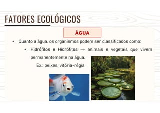 FATORES ECOLÓGICOS
ÁGUA
• Quanto a água, os organismos podem ser classificados como:
• Hidrófilos e Hidrófitos → animais e vegetais que vivem
permanentemente na água.
Ex.: peixes, vitória-régia
 