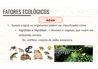 FATORES ECOLÓGICOS
ÁGUA
• Quanto a água, os organismos podem ser classificados como:
• Higrófilos e Higrófitos → Animais e vegetais que vivem em
ambientes úmidos.
Ex.: anfíbios, costela-de-adão, bananeira.
 
