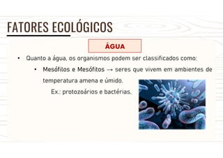 FATORES ECOLÓGICOS
ÁGUA
• Quanto a água, os organismos podem ser classificados como:
• Mesófilos e Mesófitos → seres que vivem em ambientes de
temperatura amena e úmido.
Ex.: protozoários e bactérias.
 
