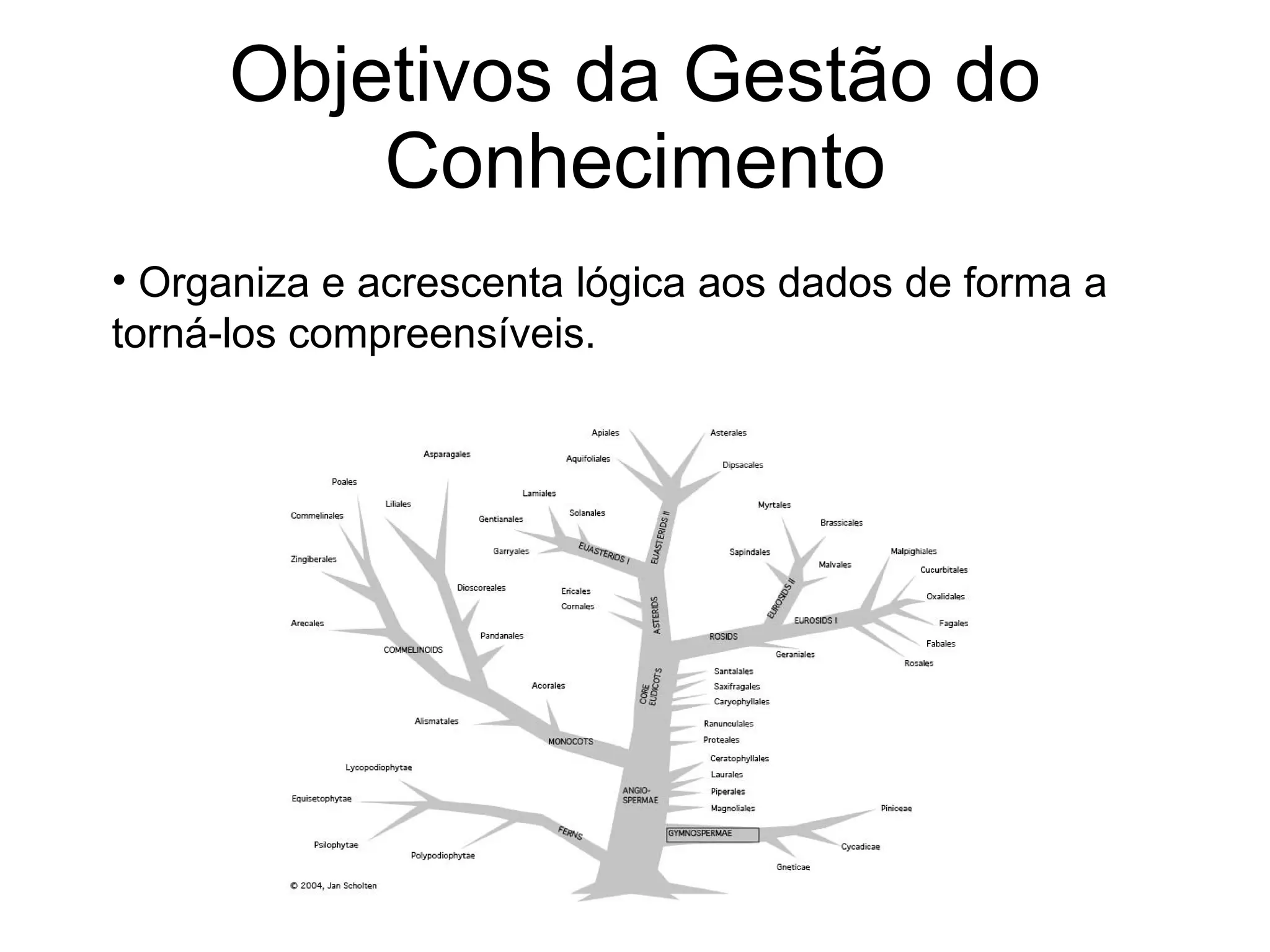 Objetivos da Gestão do Conhecimento Organiza e acrescenta lógica aos dados de forma a torná-los compreensíveis. 