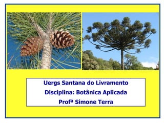 Uergs Santana do Livramento
Disciplina: Botânica Aplicada
Profª Simone Terra
 