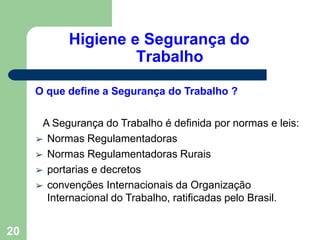 Higiene e Segurança do
Trabalho
20
O que define a Segurança do Trabalho ?
A Segurança do Trabalho é definida por normas e leis:
➢ Normas Regulamentadoras
➢ Normas Regulamentadoras Rurais
➢ portarias e decretos
➢ convenções Internacionais da Organização
Internacional do Trabalho, ratificadas pelo Brasil.
 