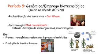 Período 5: Genômica/Emprego biotecnológico
(Início na década de 1970)
-Reclassificação dos seres vivos - Carl Woese.
-Biotecnologia: DNA recombinante
Intensa utilização de microrganismos para transgenia.
Exs:
- Plantas transgênicas resistentes à pragas e herbicidas.
- Produção de insulina humana.
 