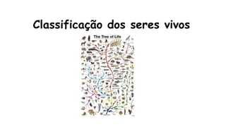 Classificação dos seres vivos
 