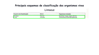 Principais esquemas de classificação dos organismos vivos
Linnaeus
 