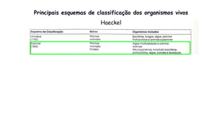 Principais esquemas de classificação dos organismos vivos
Haeckel
 