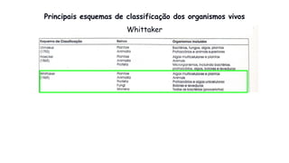 Principais esquemas de classificação dos organismos vivos
Whittaker
 