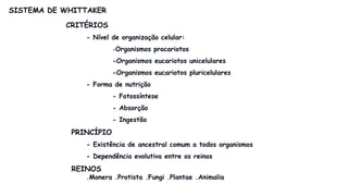 SISTEMA DE WHITTAKER
CRITÉRIOS
- Nível de organização celular:
-Organismos procariotos
-Organismos eucariotos unicelulares
-Organismos eucariotos pluricelulares
- Forma de nutrição
- Fotossíntese
- Absorção
- Ingestão
PRINCÍPIO
- Existência de ancestral comum a todos organismos
- Dependência evolutiva entre os reinos
REINOS
.Monera .Protista .Fungi .Plantae .Animalia
 