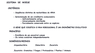 SISTEMA DE WOESE
CRITÉRIOS
- Sequências distintas de nucleotídeos do rRNA
- Determinação de um cronômetro evolucionário
- Suficientemente antigo
- Universalmente distribuído
- Parcialmente conservado entre as espécies
O GENE QUE CODIFICA O RNA RIBOSSOMAL É UM CRONÔMETRO EVOLUTIVO!
PRINCÍPIO
- Existência de um ancestral comum
- Os reinos evoluíram independentemente
DOMÍNIOS/REINOS
.Arqueobactéria .Eubactéria .Eucarioto
.Eucarioto: Cromistas / Fungos / Protozoários / Plantas / Animais
 
