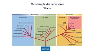 Classificação dos seres vivos
Woese
 