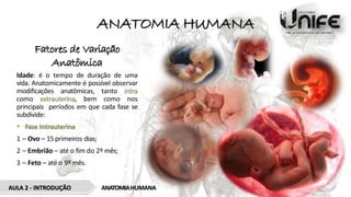 ANATOMIA HUMANA
Fatores de Variação
Anatômica
Idade: é o tempo de duração de uma
vida. Anatomicamente é possível observar
modificações anatômicas, tanto intra
como extrauterina, bem como nos
principais períodos em que cada fase se
subdivide:
• Fase Intrauterina
1 – Ovo – 15 primeiros dias;
2 – Embrião – até o fim do 2º mês;
3 – Feto – até o 9º mês.
AULA 2 - INTRODUÇÃO ANATOMIAHUMANA
 