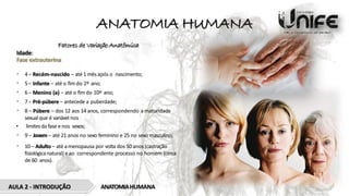 ANATOMIA HUMANA
AULA 2 - INTRODUÇÃO ANATOMIAHUMANA
Fatores de VariaçãoAnatômica
Idade:
Fase extrauterina
• 4– Recém-nascido – até 1mês após o nascimento;
• 5– Infante – até o fimdo 2º ano;
• 6– Menino (a) – até o fim do 10º ano;
• 7– Pré-púbere – antecede a puberdade;
• 8 – Púbere – dos 12 aos 14 anos, correspondendo a maturidade
sexual que é variável nos
• limitesda fase e nos sexos;
• 9 – Jovem – até 21 anos no sexo feminino e 25 no sexo masculino;
• 10– Adulto – até amenopausa por volta dos 50anos (castração
fisiológicanatural) e ao correspondente processo no homem (cerca
de 60 anos).
 