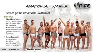 ANATOMIA HUMANA
Fatores gerais de Variação Anatômica
AULA 1 - INTRODUÇÃO ANATOMIAHUMANA
BIOTIPO:
• Brevilíneo: baixo e
forte, com o tronco
prevalecendo sobre
os membros.
Contornos externos
bem arredondados e
grandes cavidades
corporais.
• Longilíneo: alto
e magro, com
membros
prevalecendo
sobre o tronco
 