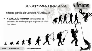 ANATOMIA HUMANA
Fatores gerais de Variação Anatômica
• A EVOLUÇÃO HUMANA corresponde ao
processo de mudanças que originou os seres
humanos
AULA 1 - INTRODUÇÃO ANATOMIAHUMANA
 