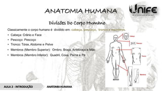 ANATOMIA HUMANA
Divisões Do Corpo Humano
Classicamente o corpo humano é dividido em: cabeça, pescoço, tronco e membros.
• Cabeça: Crânio e Face
• Pescoço: Pescoço
• Tronco: Tórax, Abdome e Pelve
• Membros (Membro Superior): Ombro, Braço, Antebraço e Mão
• Membros (Membro Inferior): Quadril, Coxa, Perna e Pé
ANATOMIAHUMANA
AULA 2 - INTRODUÇÃO
 