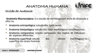 ANATOMIA HUMANA
Divisão da Anatomia
Anatomia Macroscópica: é o estudo da morfologia por meio de dissecção a
olho nu.
 Anatomia antropológica: estudo dos tipos raciais.
 Anatomia biotipológica: estudo dos tipos morfológicos constitucionais.
 Anatomia comparativa: estudo comparado dos órgãos de indivíduos
de espécies diferentes.
 Anatomia superficial: estudo dos relevos morfológicos na
superfície do corpo humano.
AULA 2 - INTRODUÇÃO ANATOMIAHUMANA
 