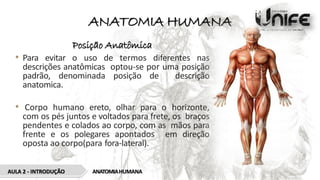 ANATOMIA HUMANA
Posição Anatômica
• Para evitar o uso de termos diferentes nas
descrições anatômicas optou-se por uma posição
padrão, denominada posição de descrição
anatomica.
• Corpo humano ereto, olhar para o horizonte,
com os pés juntos e voltados para frete, os braços
pendentes e colados ao corpo, com as mãos para
frente e os polegares apontados em direção
oposta ao corpo(para fora-lateral).
ANATOMIAHUMANA
AULA 2 - INTRODUÇÃO
 