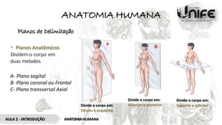 ANATOMIA HUMANA
Planos de Delimitação
• Planos Anatômicos
Dividem o corpo em
duas metades.
A- Plano sagital
B- Plano coronal ou Frontal
C- Plano transversal, Axial
ANATOMIAHUMANA
AULA 2 - INTRODUÇÃO
Divide o corpo em:
Direito e esquerdo
Divide o corpo em:
Anterior e posterior
Divide o corpo em:
Superior e inferior
 
