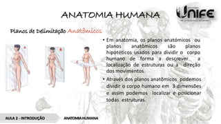 ANATOMIA HUMANA
Planos de Delimitação Anatômicos
• Em anatomia, os planos anatómicos ou
planos anatômicos são planos
hipotéticos usados para dividir o corpo
humano de forma a descrever a
localização de estruturas ou a direção
dos movimentos.
• Através dos planos anatômicos podemos
dividir o corpo humano em 3 dimensões
e assim podemos localizar e posicionar
todas estruturas.
ANATOMIAHUMANA
AULA 2 - INTRODUÇÃO
 