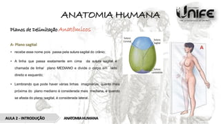 ANATOMIA HUMANA
Planos de Delimitação Anatômicos
A- Plano sagital
• recebe esse nome pois passa pela sutura sagital do crânio;
• A linha que passa exatamente em cima da sutura sagital é
chamada de linha/ plano MEDIANO e divide o corpo em lado
direito e esquerdo;
• Lembrando que pode haver várias linhas imaginárias, quanto mais
próxima do plano mediano é considerada mais mediana, e quando
se afasta do plano sagital, é considerada lateral.
ANATOMIAHUMANA
AULA 2 - INTRODUÇÃO
 