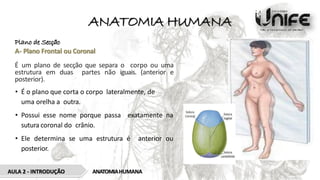 ANATOMIA HUMANA
Plano de Secção
A- Plano Frontal ou Coronal
É um plano de secção que separa o corpo ou uma
estrutura em duas partes não iguais. (anterior e
posterior).
• É o plano que corta o corpo lateralmente, de
uma orelha a outra.
• Possui esse nome porque passa exatamente na
sutura coronal do crânio.
• Ele determina se uma estrutura é anterior ou
posterior.
ANATOMIAHUMANA
AULA 2 - INTRODUÇÃO
 