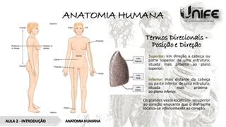 Termos Direcionais -
Posição e Direção
• Superior: em direção a cabeça ou
parte superior de uma estrutura;
situada mais próxima ao plano
superior.
• Inferior: mais distante da cabeça
ou parte inferior de uma estrutura;
situada mais próxima
ao plano inferior.
Os grandes vasos localizam- sesuperior
ao coração enquanto que o diafragma
localiza-se inferiormente ao coração.
ANATOMIAHUMANA
AULA 2 - INTRODUÇÃO
ANATOMIA HUMANA
 